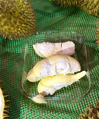 51�鿪���������������������