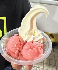 9块钱3个球的冰淇淋