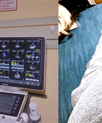 ׼�赽�������ڣ������Ҫÿ����һ��̥�ļ໤��