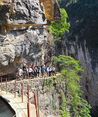 ¡-桰 ѶȲ󡢷羰Ϳ