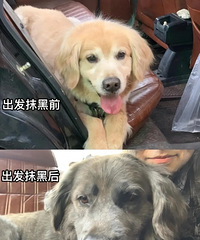 ����Ĩ�ڽ�����Ҳ���Ź���С�׹�����5���ӱ����