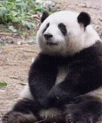 ������ֵ���򡿽�С����Ʒ����2ƿ19���ݶ����ҩ19.9