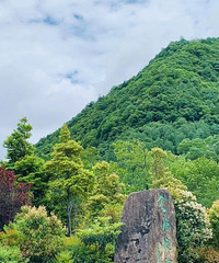 �����Լ��Ĵ����ŵأ���Ұ�����ͽ�����عŵ�