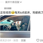 带父母去旅游狗都疯了