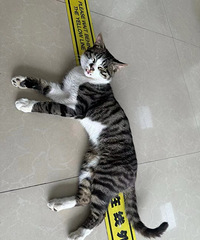 è�ڼ���վˣ���˱����ˣ���������3����ҵ�