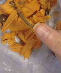 ���˻��ˣ������˵���ָͷҲ���ˣ�