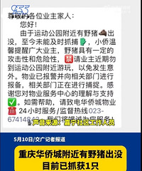 ��̬Ҳ̫���˰ɣ����컪�ȳǸ���Ұ����û����ץ��1ֻ��6ֻ����