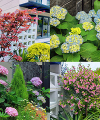 Ժ�ӵĻ��������ţ��������л�԰������