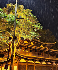 �Ű��������������������6�ջ����Σ���һ���г̾�410����