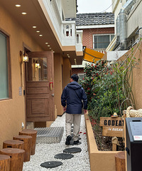 釜山行——樱花居然这么美