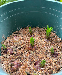 ���������������������2�裬�²�ֵ����Ǯ��