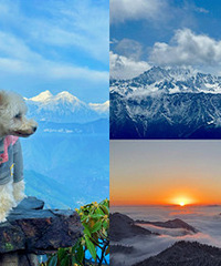 ����С�ڴ򿨵أ���ɫ����ţ��ɽ