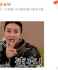《歌手2024》目前请战的歌手有