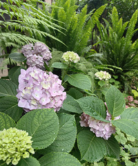 �����͵���ɫ����ͻȻ�ͱ���˷�ɫ�������ﲻ��