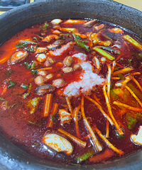 39.9�Ķ���˫�˲ͣ���Ҫ�������г����