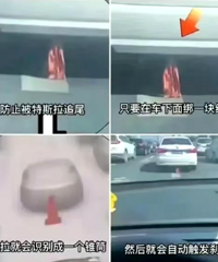 ��ֹ����˹��׷β���ڳ��°�鲼�ͻ��Զ�����ɲ��