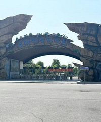 ����Ұ������԰����20ֻ��������������10ֻ����