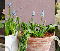 ϱ������60���ֻ����ݷ����ˣ���˵�����ղ��ÿ�