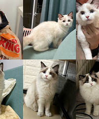 �𽥲�Ͳ�ż1���ˣ��ڳ��ֵĵ�·��һȥ������