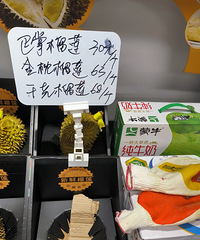 ���Ǳ��������˰�