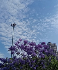 ̫�����µ���ӣ�����ĺúÿ�ѽ