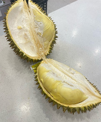 ����ĵ�һ��������Ƥ����