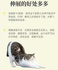 [����]����������ʹ�������ǣ�����˯ǰ���ƨ�ɣ�˯�ø����