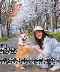 85��160CM��ҵ��Ĳ���С������飬ϣ��������168����