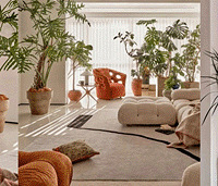 û�뵽������㡱����Ҳ����Щ������ֲ���Ͻ��ղ�