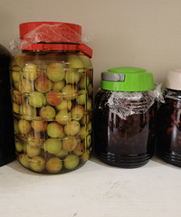 ȥ�꿪ʼ��ˮ���ƣ�ɣ�ؾƣ���÷�ơ������־�