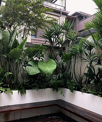 [Ư��]Ӣʽ���ɭ�ֻ�԰�깤��3������3�ַ�񣬵�ά��������