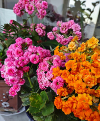 ����Ǥ��ĳ��ٻ���Ȼ���ˣ������ڿ���������һ��