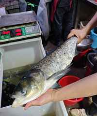 �Ը��໨�������㣬ֱ�Ӱ������ľ��