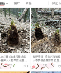 ��166��С���鲩��ȥ��Ұ�����������ץ�˷���