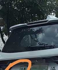 ������Լ��û���ż���