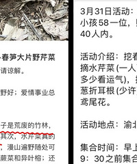 小红书上的一些打野博主,谨慎跟风