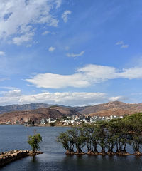 90갮Լݺ¶Ӫĸ飬ϣԷ87~95