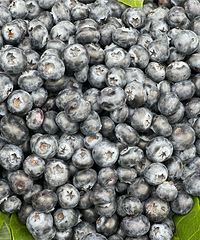 ˭˵����ˮ�������ˣ��㶼������