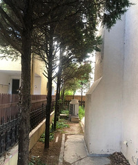 [��̬]34�ꡰ��ҳ�Ů����״��������ס5�O�����ö�����Ľ