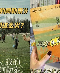 《我的阿勒泰》,原著更治愈