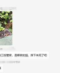 [����]�ھӼҵ�è��¥׹����Ϊɶ���ⴰ�������������