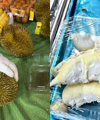 51�鿪������ä�У���������㲻���