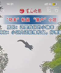 ������̬����Խ��Խ����Ҳ����Ұ������֮�󣬹��ó�����һȺ����