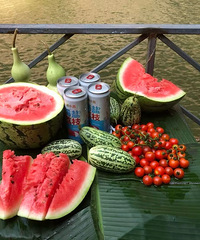 89��160CM��ҽҩ����С������飬ϣ���Է�����170����