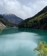 [����]��կ����ľ�������ĩ2����ת��������ר��ֱ�������