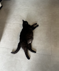 èͬ��ͷС���Ӵ󣬾���������⻳�У����Ǿ�����