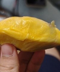 ������һ�γ�èɽ������