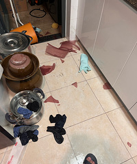 ��ϴ�������ϴ���������������������������