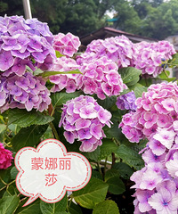 22������Ʒ��һ��ȫ���ˣ����������Ʒ�֣�