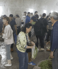 防空洞“背篓菜市”开市啦!